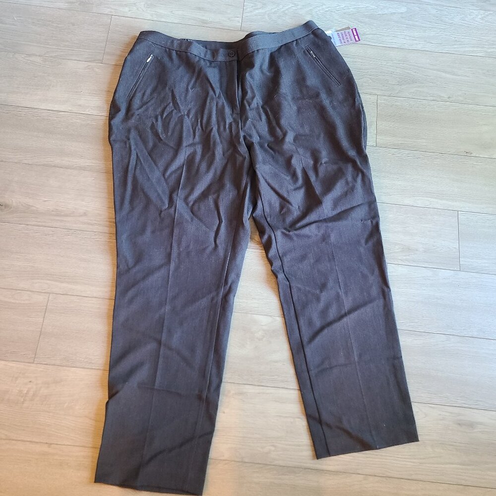 NEW Tanjay Straight Leg Pants 24W